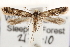  ( - CCDB-23281-G05)  @11 [ ] CreativeCommons - Attribution (2015) CBG Photography Group Centre for Biodiversity Genomics