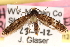  ( - CCDB-23281-G07)  @13 [ ] CreativeCommons - Attribution (2015) CBG Photography Group Centre for Biodiversity Genomics
