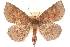  ( - CCDB-23282-C03)  @14 [ ] CreativeCommons - Attribution (2014) CBG Photography Group Centre for Biodiversity Genomics