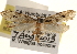  ( - CCDB-23283-C08)  @14 [ ] CreativeCommons - Attribution (2015) CBG Photography Group Centre for Biodiversity Genomics