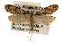  ( - CCDB-23283-C09)  @15 [ ] CreativeCommons - Attribution (2015) CBG Photography Group Centre for Biodiversity Genomics