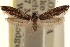  ( - CCDB-23283-E04)  @11 [ ] CreativeCommons - Attribution (2015) CBG Photography Group Centre for Biodiversity Genomics