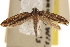  ( - CCDB-23283-E08)  @14 [ ] CreativeCommons - Attribution (2015) CBG Photography Group Centre for Biodiversity Genomics