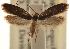  ( - CCDB-23283-G12)  @11 [ ] CreativeCommons - Attribution (2015) CBG Photography Group Centre for Biodiversity Genomics