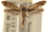  ( - CCDB-23283-H02)  @11 [ ] CreativeCommons - Attribution (2015) CBG Photography Group Centre for Biodiversity Genomics