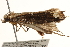  ( - CCDB-23283-H03)  @13 [ ] CreativeCommons - Attribution (2015) CBG Photography Group Centre for Biodiversity Genomics