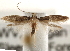  ( - CCDB-23283-H07)  @13 [ ] CreativeCommons - Attribution (2015) CBG Photography Group Centre for Biodiversity Genomics
