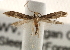  ( - CCDB-23283-H08)  @11 [ ] CreativeCommons - Attribution (2015) CBG Photography Group Centre for Biodiversity Genomics
