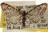  ( - CCDB-23284-C09)  @13 [ ] CreativeCommons - Attribution (2015) CBG Photography Group Centre for Biodiversity Genomics