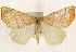  ( - CCDB-23284-D12)  @14 [ ] CreativeCommons - Attribution (2015) CBG Photography Group Centre for Biodiversity Genomics