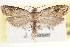  ( - CCDB-23286-C02)  @14 [ ] CreativeCommons - Attribution (2015) CBG Photography Group Centre for Biodiversity Genomics