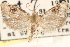  ( - CCDB-23286-D02)  @14 [ ] CreativeCommons - Attribution (2015) CBG Photography Group Centre for Biodiversity Genomics