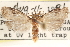  ( - CCDB-23286-D03)  @14 [ ] CreativeCommons - Attribution (2015) CBG Photography Group Centre for Biodiversity Genomics