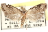  ( - CCDB-23286-D04)  @14 [ ] CreativeCommons - Attribution (2015) CBG Photography Group Centre for Biodiversity Genomics