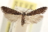  ( - CCDB-23286-E06)  @11 [ ] CreativeCommons - Attribution (2015) CBG Photography Group Centre for Biodiversity Genomics