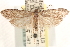  ( - CCDB-23286-E08)  @11 [ ] CreativeCommons - Attribution (2015) CBG Photography Group Centre for Biodiversity Genomics