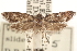 ( - CCDB-23286-E10)  @14 [ ] CreativeCommons - Attribution (2015) CBG Photography Group Centre for Biodiversity Genomics