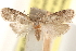  ( - CCDB-23286-H02)  @11 [ ] CreativeCommons - Attribution (2015) CBG Photography Group Centre for Biodiversity Genomics