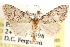  ( - CCDB-23287-B05)  @15 [ ] CreativeCommons - Attribution (2015) CBG Photography Group Centre for Biodiversity Genomics
