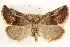  ( - CCDB-23287-E09)  @14 [ ] CreativeCommons - Attribution (2015) CBG Photography Group Centre for Biodiversity Genomics