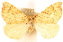  ( - CCDB-23287-F05)  @13 [ ] CreativeCommons - Attribution (2015) CBG Photography Group Centre for Biodiversity Genomics