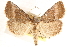  ( - CCDB-23287-H05)  @15 [ ] CreativeCommons - Attribution (2015) CBG Photography Group Centre for Biodiversity Genomics