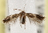  ( - CCDB-23288-C01)  @13 [ ] CreativeCommons - Attribution (2015) CBG Photography Group Centre for Biodiversity Genomics