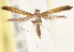 ( - CCDB-23288-C06)  @13 [ ] CreativeCommons - Attribution (2015) CBG Photography Group Centre for Biodiversity Genomics