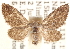 ( - CCDB-23285-C12)  @14 [ ] CreativeCommons - Attribution (2015) CBG Photography Group Centre for Biodiversity Genomics