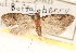  ( - CCDB-23285-F12)  @14 [ ] CreativeCommons - Attribution (2015) CBG Photography Group Centre for Biodiversity Genomics