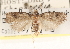  ( - CCDB-23285-G01)  @14 [ ] CreativeCommons - Attribution (2015) CBG Photography Group Centre for Biodiversity Genomics