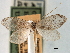  ( - CCDB-22939-C03)  @12 [ ] CreativeCommons - Attribution (2014) CBG Photography Group Centre for Biodiversity Genomics