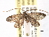  ( - CCDB-22939-D07)  @13 [ ] CreativeCommons - Attribution (2014) CBG Photography Group Centre for Biodiversity Genomics