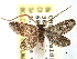  ( - CCDB-22939-D09)  @14 [ ] CreativeCommons - Attribution (2014) CBG Photography Group Centre for Biodiversity Genomics