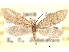  ( - CCDB-22939-F11)  @11 [ ] CreativeCommons - Attribution (2014) CBG Photography Group Centre for Biodiversity Genomics
