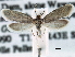  ( - CCDB-22939-H09)  @11 [ ] CreativeCommons - Attribution (2014) CBG Photography Group Centre for Biodiversity Genomics