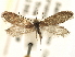  ( - CCDB-22946-C11)  @11 [ ] CreativeCommons - Attribution (2014) CBG Photography Group Centre for Biodiversity Genomics