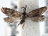  ( - CCDB-22946-D12)  @11 [ ] CreativeCommons - Attribution (2014) CBG Photography Group Centre for Biodiversity Genomics