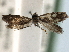  ( - CCDB-22946-E04)  @11 [ ] CreativeCommons - Attribution (2014) CBG Photography Group Centre for Biodiversity Genomics