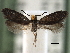  ( - CCDB-22946-E05)  @11 [ ] CreativeCommons - Attribution (2014) CBG Photography Group Centre for Biodiversity Genomics