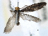  ( - CCDB-22946-F10)  @11 [ ] CreativeCommons - Attribution (2014) CBG Photography Group Centre for Biodiversity Genomics