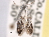  ( - CCDB-22949-B09)  @11 [ ] CreativeCommons - Attribution (2014) CBG Photography Group Centre for Biodiversity Genomics