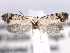  ( - CCDB-22949-C07)  @12 [ ] CreativeCommons - Attribution (2014) CBG Photography Group Centre for Biodiversity Genomics