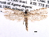  ( - CCDB-22949-D05)  @11 [ ] CreativeCommons - Attribution (2014) CBG Photography Group Centre for Biodiversity Genomics