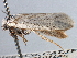  ( - CCDB-22949-E07)  @12 [ ] CreativeCommons - Attribution (2014) CBG Photography Group Centre for Biodiversity Genomics