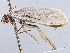  ( - CCDB-22949-E08)  @12 [ ] CreativeCommons - Attribution (2014) CBG Photography Group Centre for Biodiversity Genomics