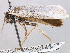  ( - CCDB-22949-E10)  @11 [ ] CreativeCommons - Attribution (2014) CBG Photography Group Centre for Biodiversity Genomics