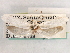  ( - CCDB-22949-F12)  @12 [ ] CreativeCommons - Attribution (2014) CBG Photography Group Centre for Biodiversity Genomics