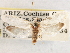  ( - CCDB-22949-G01)  @11 [ ] CreativeCommons - Attribution (2014) CBG Photography Group Centre for Biodiversity Genomics