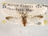  ( - CCDB-22949-G04)  @12 [ ] CreativeCommons - Attribution (2014) CBG Photography Group Centre for Biodiversity Genomics